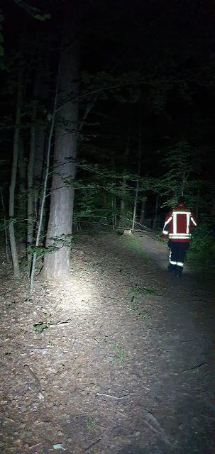 IMG-20200705-WA0001 groß.jpg